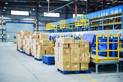 IWILL Producción y entrega diarias